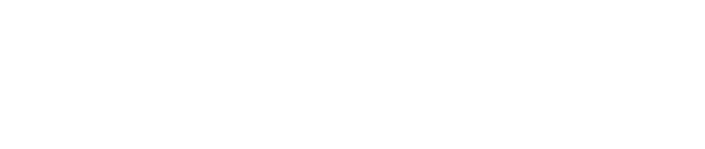 Vetri Inc